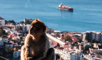 gibraltar_5_0